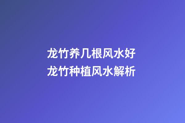 龙竹养几根风水好 龙竹种植风水解析
